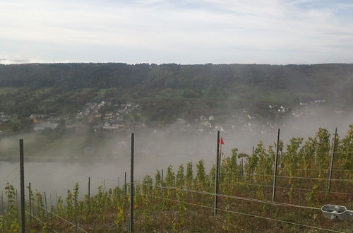 Foto 4 - Ferienwohnung-vinothek Keifer Kinheim