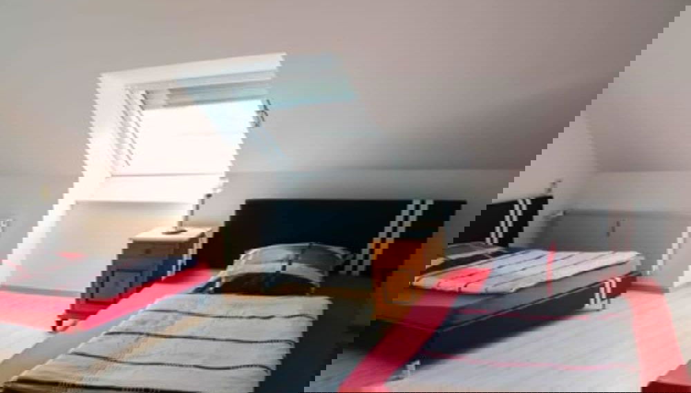 Imagem principal