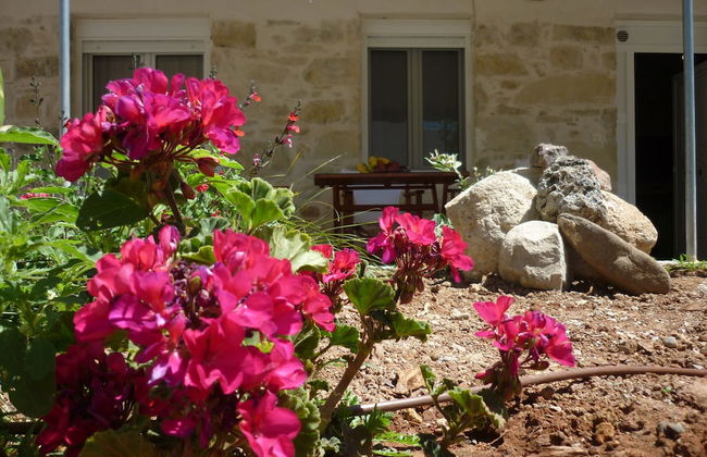 Zeus Traditional House - Foto 39