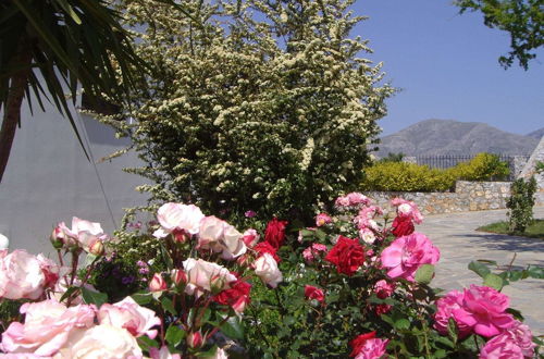 Photo 23 - Chic Villa in Lefkogia Crete With Swimming Pool