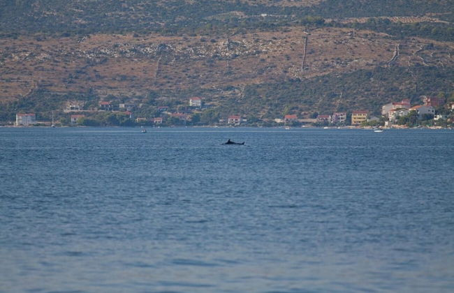 Vik - 60 m From the sea - A3 - Foto 9