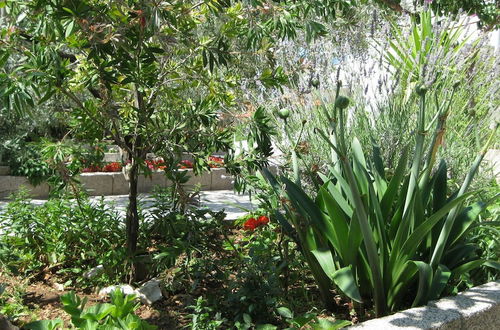 Photo 27 - Ljuba - Nice Garden - A2 Plavi