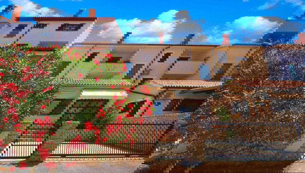 Imagem principal