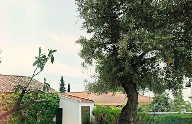 Villa Los Rosales - Photo 9