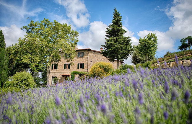 Luxury Chianti Between Grapes - Foto 29
