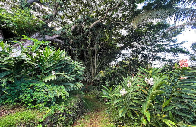 Gingerhill Farm Retreat - Foto 55