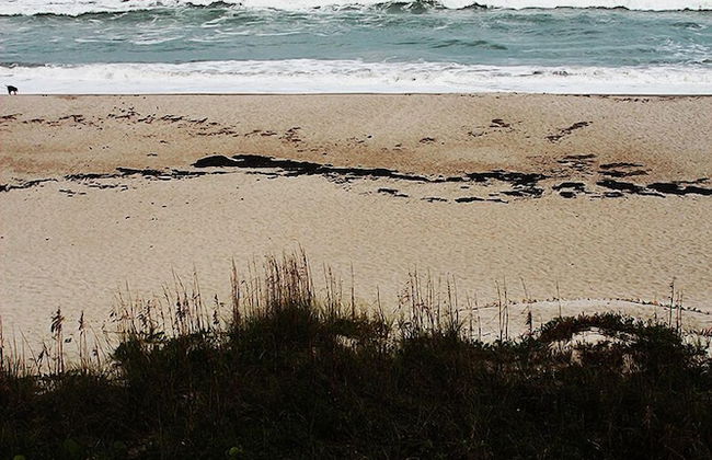 Tuckaway Shores Resort - Foto 65
