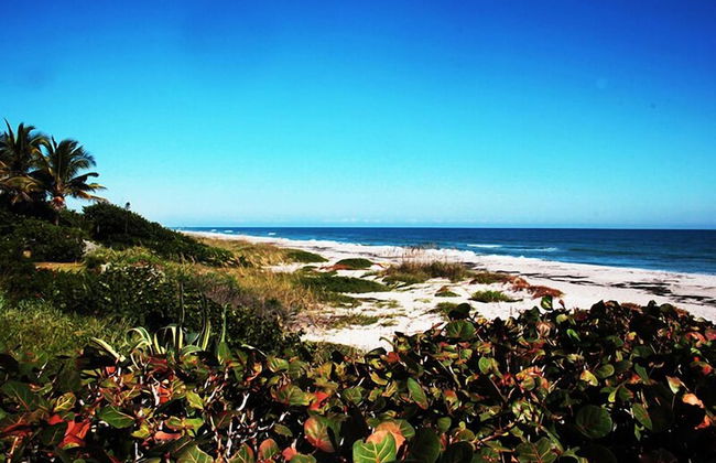 Tuckaway Shores Resort - Foto 64