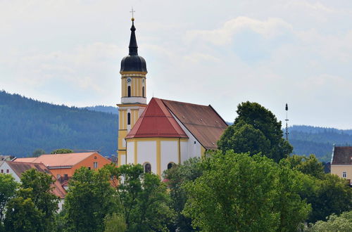 Photo 24 - Holiday Home With Sauna in the Bavarian Forest