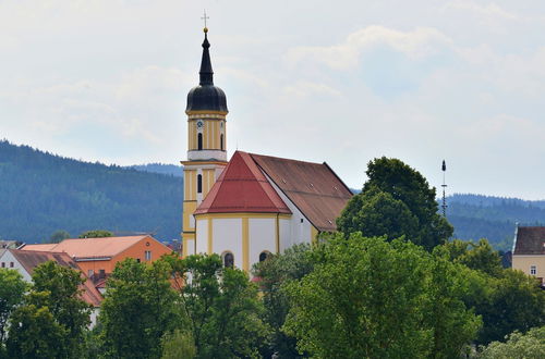 Photo 24 - Holiday Home With Sauna in the Bavarian Forest