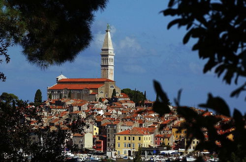 Photo 31 - Comfortable Holiday Home With a Microwave, Near Rovinj