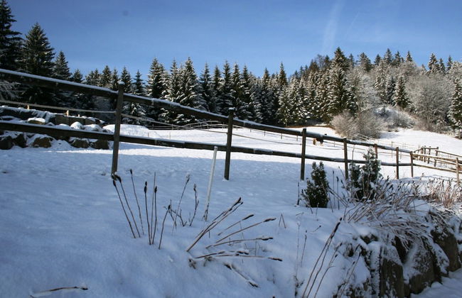 Malerische Erdgeschosswohnung - Foto 34