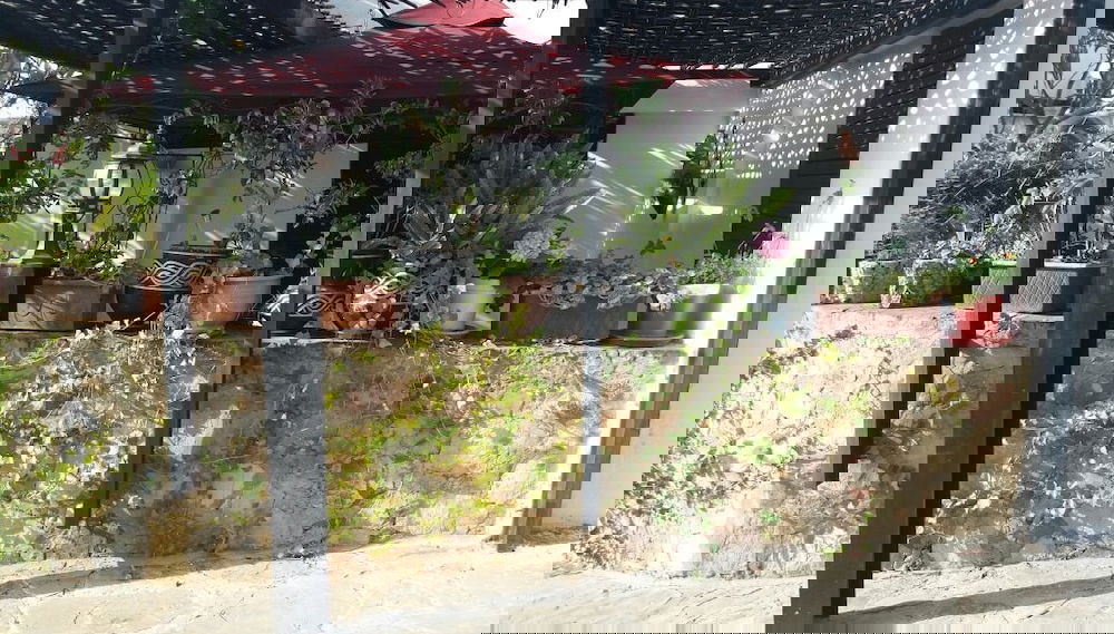 Image principale