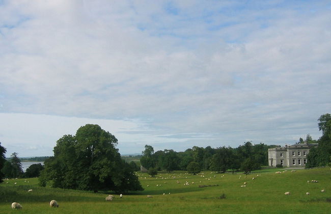 Temple House - Foto 25