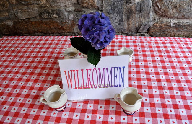 Typical, Romantic Tessiner Cottage - Foto 16