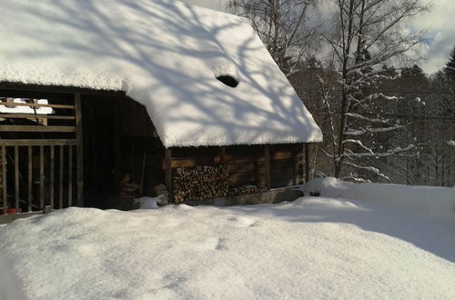 Photo 11 - Holiday Home in Nejdek in West-bohemia With Garden