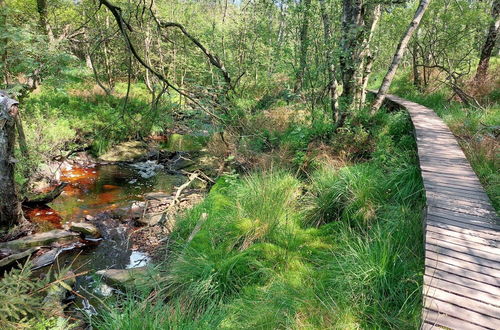 Photo 28 - Alluring Holiday Home in Waimes With Garden