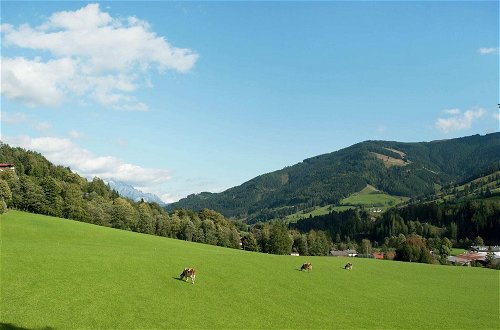 Photo 26 - Animal -friendly Apartment in Leogang