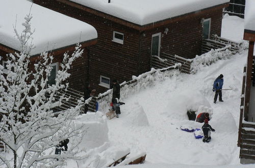 Photo 36 - Holiday Home in the Grossbreitenbach