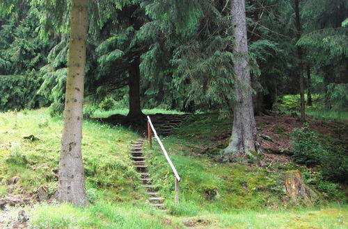 Photo 23 - Holiday Home in the Grossbreitenbach