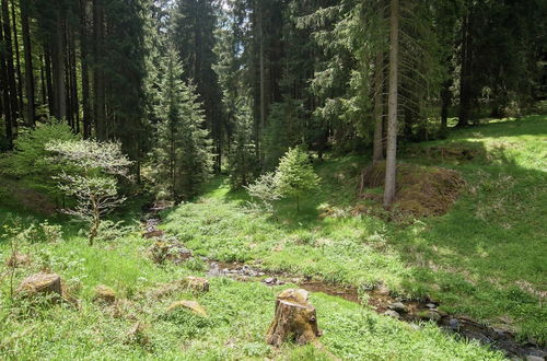 Photo 14 - Holiday Home in the Grossbreitenbach