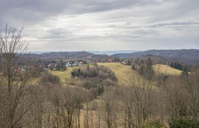 Cozy Apartment in Braunlage near Forest - Foto 34