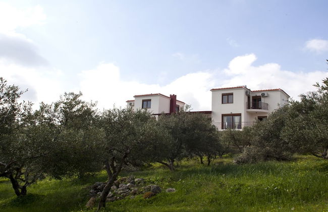 Foivos and Athina Villas - Foto 40