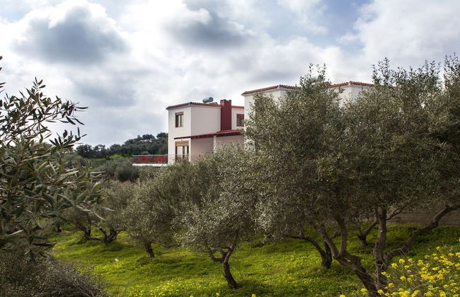 Foivos and Athina Villas - Foto 36