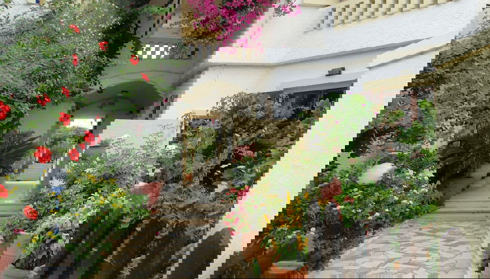 Imagem principal