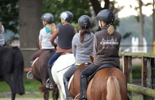 Ponyhof Georgenbruch - Foto 53
