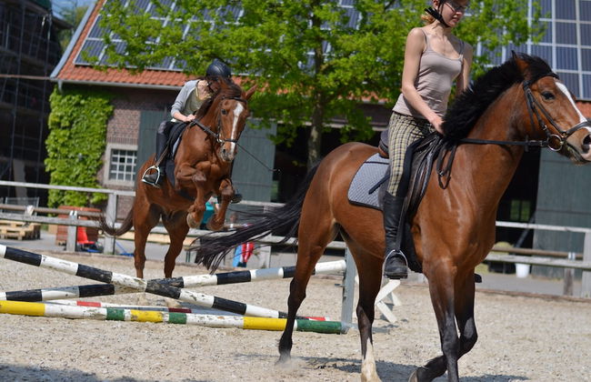 Ponyhof Georgenbruch - Foto 50