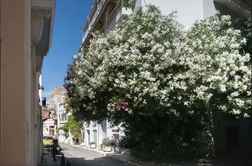 Photo 22 - Nephiria, Under the Acropolis, In the heart of Plaka