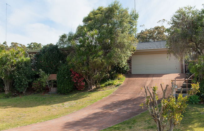 Wildflowers at Fingal Bay - Foto 13