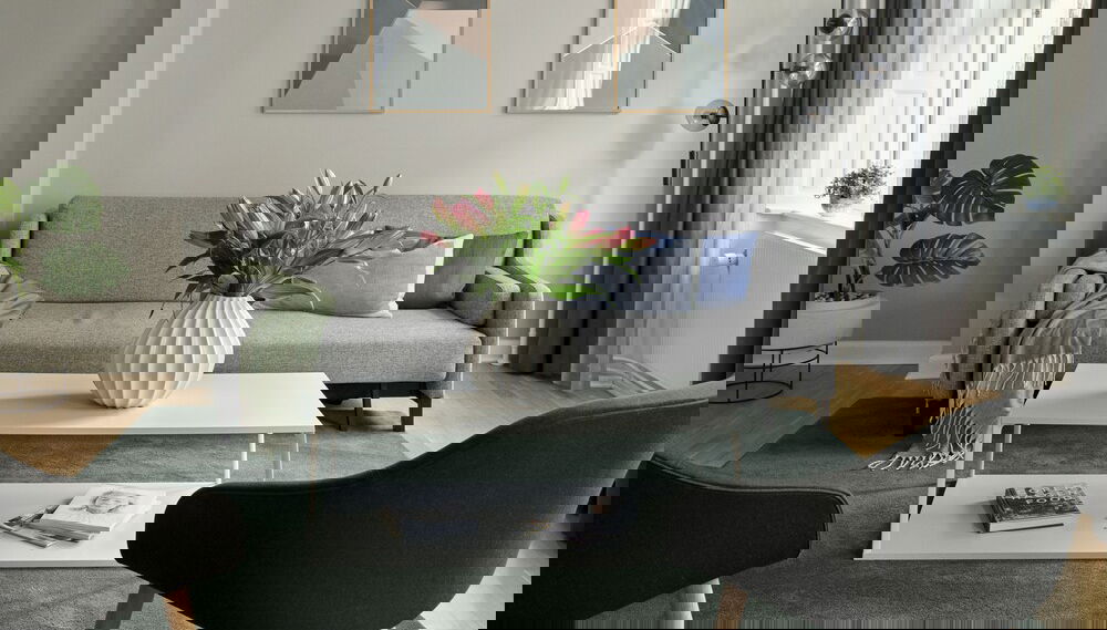 Imagem principal