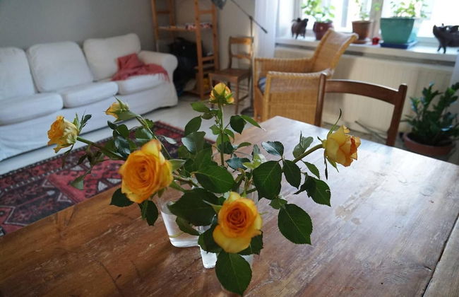 Cosy Quiet Apartment Close to the Sea and Parks - Foto 14