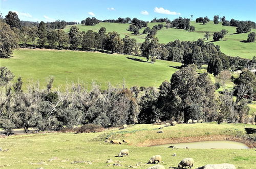 Photo 31 - Balingup Highview Chalets