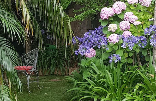 Water Bay Villa Bed and Breakfast - Foto 46