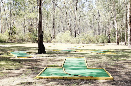 Photo 75 - Discovery Parks - Echuca