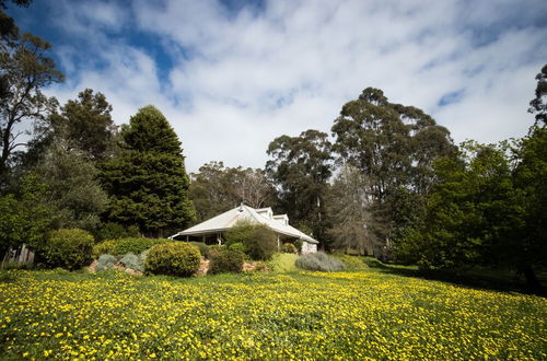 Photo 61 - Balingup Heights Hilltop Forest Cottages