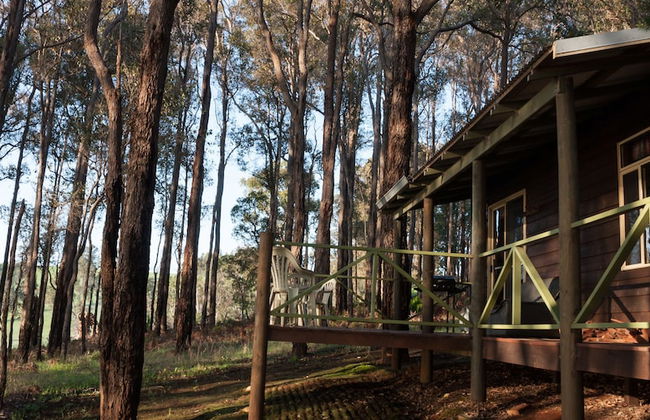 Balingup Heights Hilltop Forest Cottages - Photo 37