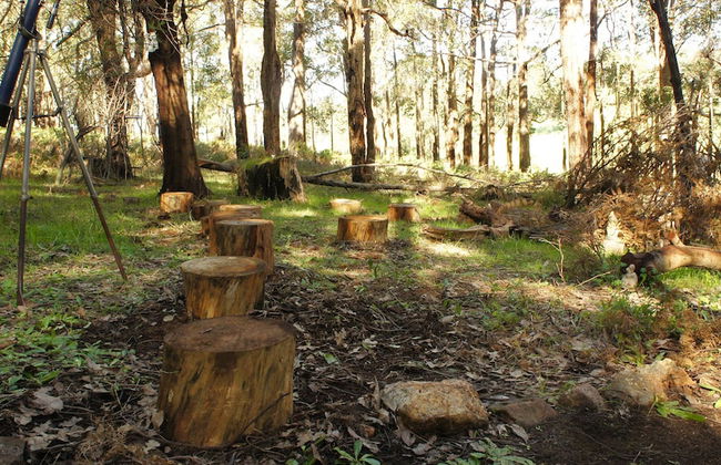 Balingup Heights Hilltop Forest Cottages - Photo 43