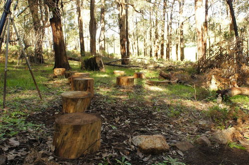 Photo 43 - Balingup Heights Hilltop Forest Cottages