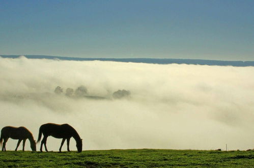 Photo 59 - Balingup Heights Hilltop Forest Cottages