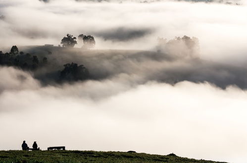 Photo 50 - Balingup Heights Hilltop Forest Cottages