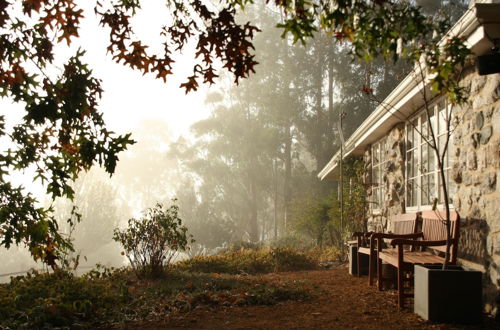 Photo 60 - Balingup Heights Hilltop Forest Cottages