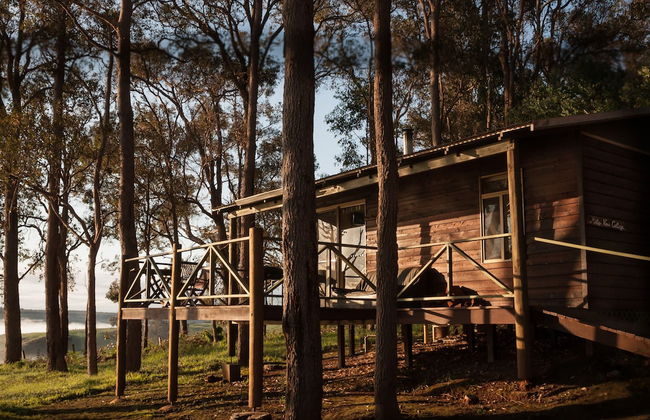 Balingup Heights Hilltop Forest Cottages - Photo 68