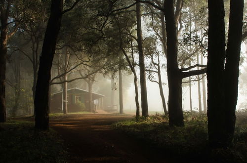 Photo 47 - Balingup Heights Hilltop Forest Cottages