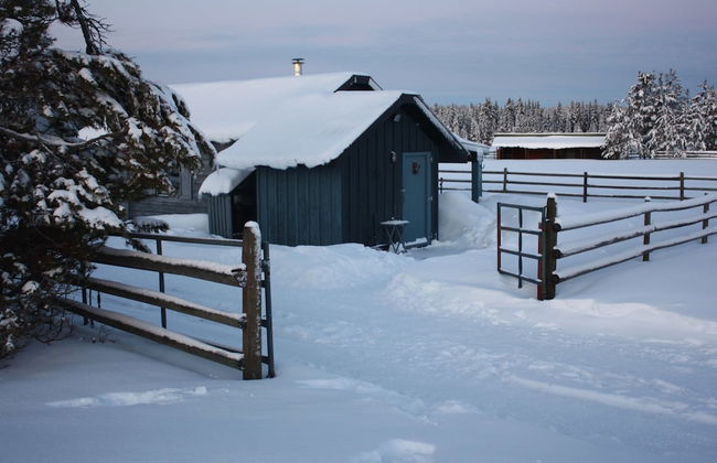 Woodhouse Cottages and Ranch - Foto 12
