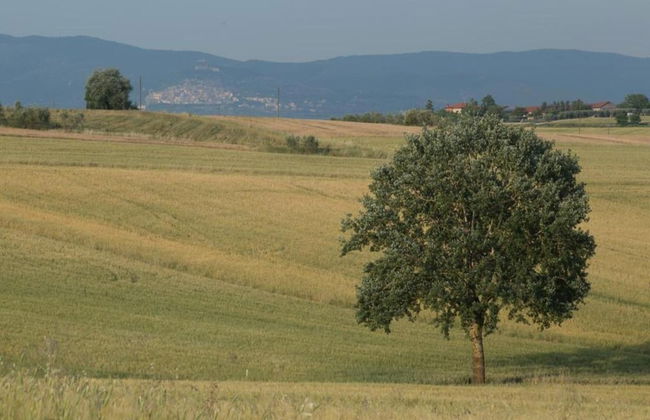 Villa in Tuscany With Pool Near Cortona - Foto 33