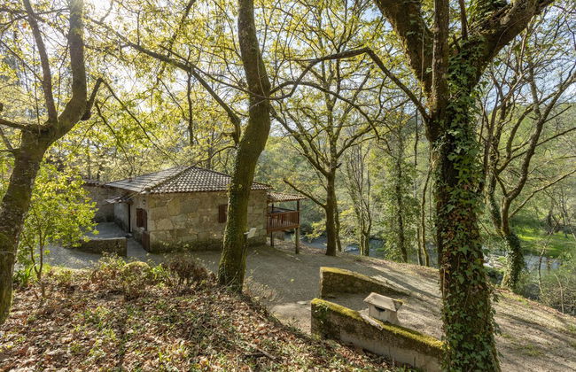 Quinta do Rio Homem - Foto 37